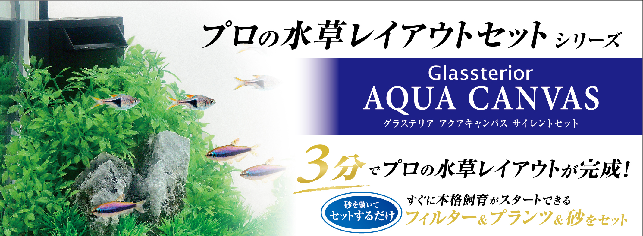 アクアキャンバス