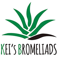 Kei's Bromeliads