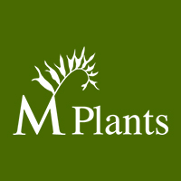 M-PLANTS