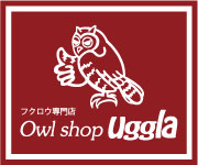 Owl shop uggla
