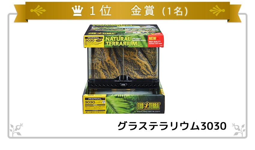 1位:EXO-TERRA レプテリア500