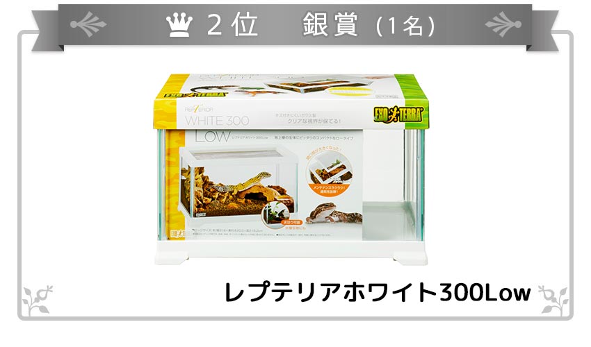 2位:EXO-TERRA レプテリア クリア300