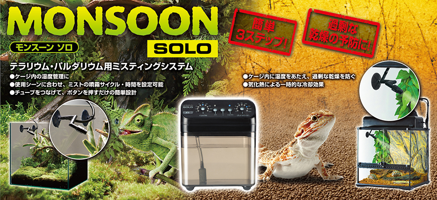 モンスーンソロ