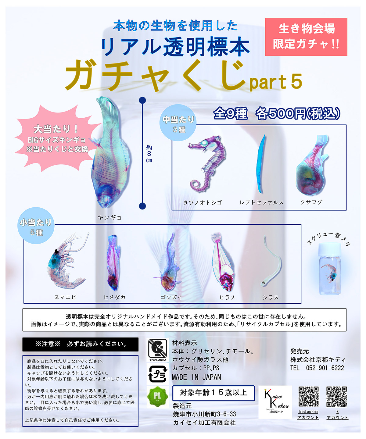 透明標本part5