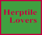 Herptile Lovers