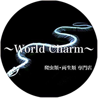 ～World Charm～