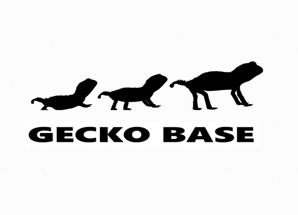 GECKO BASE