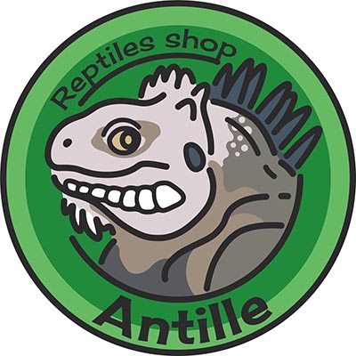 Reptiles shop Antille