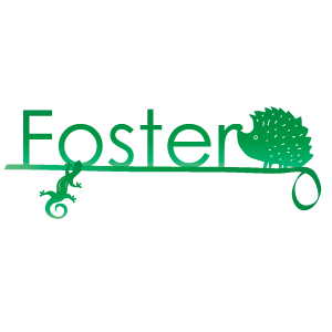 Foster