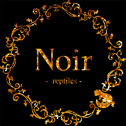 Noir reptiles