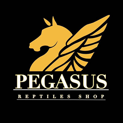 レプタイルズショップ　ペガサス