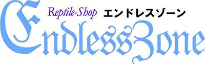 エンドレスゾーン