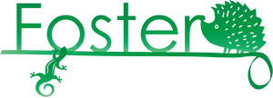Foster