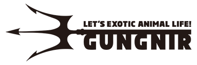 GUNGNIR
