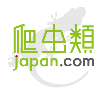 はちゅコム
