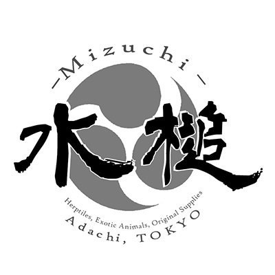 水槌
