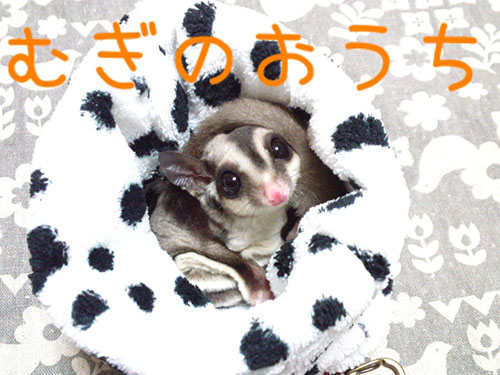 むぎのおうち