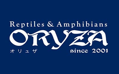 ORYZA