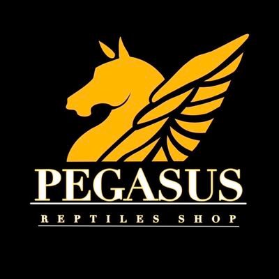 レプタイルズショップ ペガサス