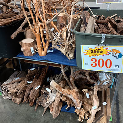 流木専門店 根魚堂