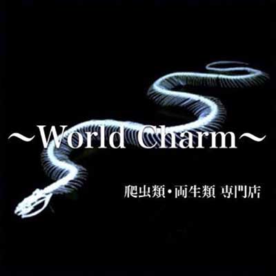 ～World Charm～