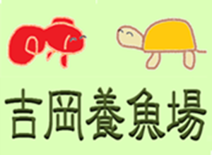 吉岡養魚場