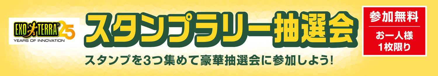 スタンプラリーバナー