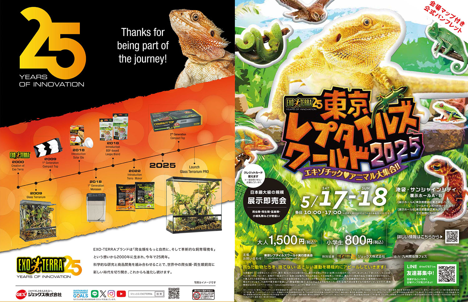 トウレプ広告